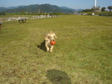 071020megu-ball1