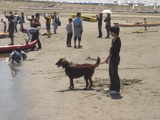 070429サラと結香-浜