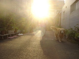 070613朝のマック1