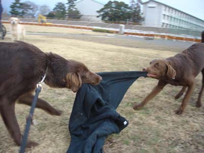 060218サラ&アク2