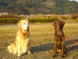 070101�黶�⥵��ޥå�1