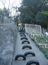 071104rengeji-salashinya