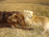 080106friends2