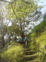071104rengeji-salamegusumi1