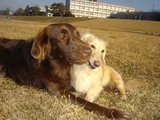 080106friends1