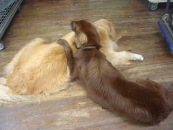 060706�ޥå��ȥ������ɤ�3