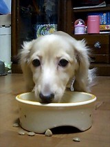 070427メグごはん1