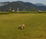 071020快晴メグダッシュ