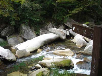 松茸岩