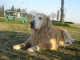 070321�ޥå�2