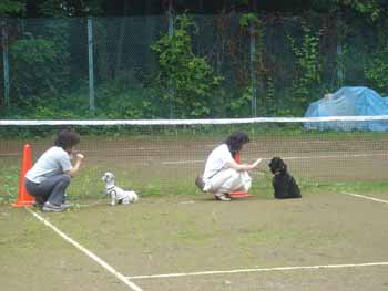 060709���ձ��Ԥ�1