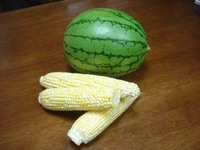 とうもろこし&しすいか