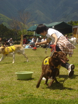 070520運動会サラ-ボール運び1
