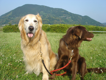 060601�ޥå��ȥ���٥���2