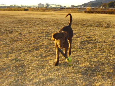 051227sala_ball1