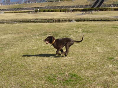 060204アルフ1