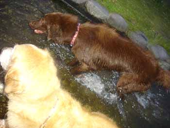 060710�ޥå�����ƿ����2