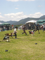 070520運動会サラ-早食い1