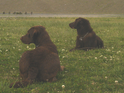 060503sala&aku15