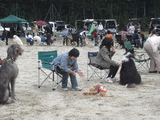 071014BWPイス取り予選メグ