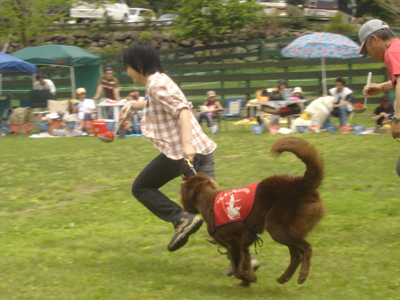 060521サラおたま競争