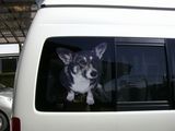 070314新村様車ステッカー2