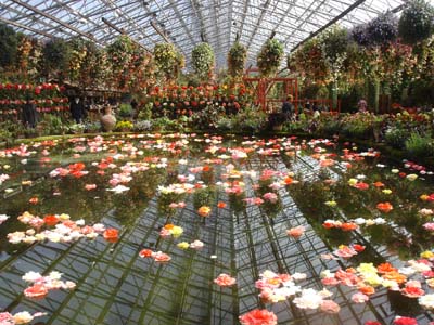 060305富士花園5