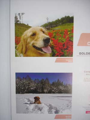 060117g_calendar5_1
