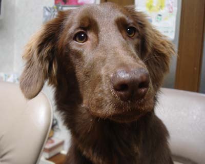 060223サラのアップ