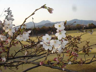 060321�����鳫��1