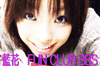藍花 FUN CLUB BBS