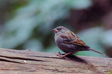 a98e7718.jpg