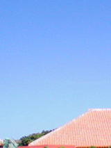 4eb3648a.jpg