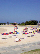 d0f7768b.jpg