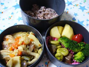 麻婆車麩うめ風味のお弁当