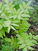 34c26305.jpg