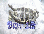 �}�R�g