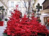 パリの真っ赤なクリスマスツリー
