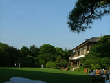 鶺鴒