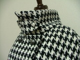 CAPE2