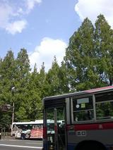 d30ab08e.JPG