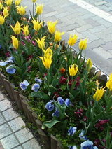 200804271658000
