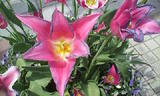 20080501111521