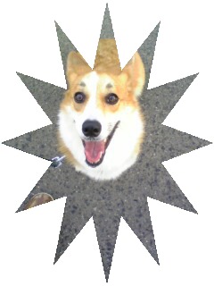 m8