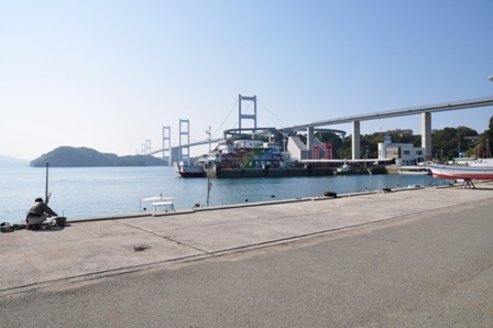 �褷���ߤ���������