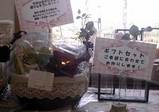 父の日ギフトセット
