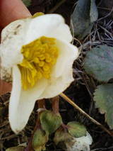 ab0147ca.