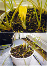 20090206