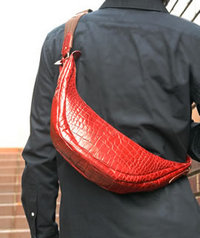 ¥¢¥Ë¥¢¥êץ쥪¥ó¡¡¥¯¥í¥³¥À¥¤¥ë