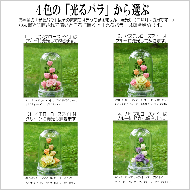 1ピンクローズ